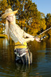 woman fishing in pond
