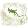 Lézard