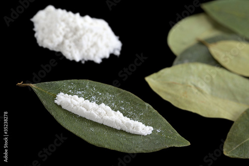 Photo: Cocaine powder (substituted by flour) on a dried coca leaf Cocaine powder (substituted by flour) on a dried coca leaf