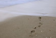 Foto: Foot prints on the beach Foot prints on the beach