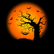 Spooky Halloween Tree Background Spooky Halloween Tree Background