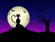 Halloween night background Halloween night background