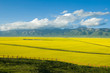 Scenery of Tibetan plateau