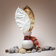 white pumpkin