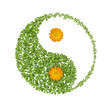 Floral yin yang symbol, natural harmonies icon Floral yin yang symbol, natural harmonies icon