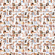 Great collage made of many pictures about health Great collage made of many pictures about health
