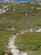 chemin de pierres