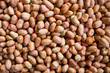 beans