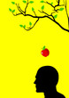 Vector: Newton's Apple Newton's Apple