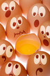 Foto: Eggs Eggs