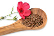 Leinsamen mit Leinblume, linum