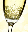 Photo: champage close-up champage close-up