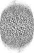 fingerprint of drought - vector illustration