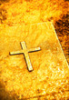 Holy Bible