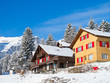 Winter holiday house