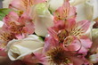weddingrings on the flowers
