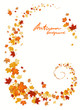 Autumn leaves background