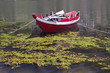 Douros River Boat