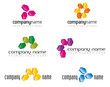 company hexagon