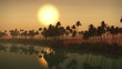 (1273B) Adventure Travel Sahara Desert Oasis Sunset