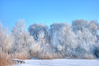 Winter lake