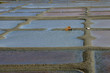 marais salants à Guérande en Loire-Atlantique