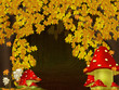Autumn Forest