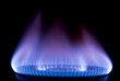 burning on a gas stove in the kitchen