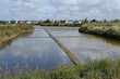 marais salants à Guérande en Loire-Atlantique