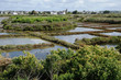marais salants à Guérande en Loire-Atlantique