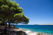 presso la spiaggia Podvrske a Murter - Croazia