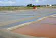 marais salants à Guérande en Loire-Atlantique