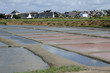 marais salants à Guérande en Loire-Atlantique marais salants à Guérande en Loire-Atlantique