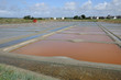 marais salants à Guérande en Loire-Atlantique marais salants à Guérande en Loire-Atlantique