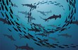 Sharks