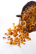 fresh chanterelle mushrooms over white