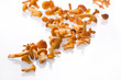 fresh chanterelle mushrooms over white
