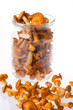 fresh chanterelle mushrooms over white