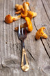fresh chanterelle mushrooms with silver fork on old wooden table