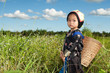 asiatisches Mädchen im Reisfeld
