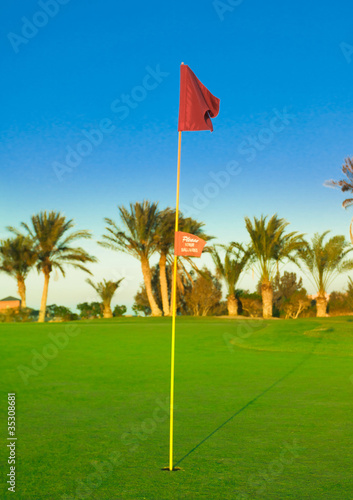 Waving Golf Flag