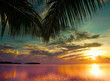 Bliss Hawaii Beach