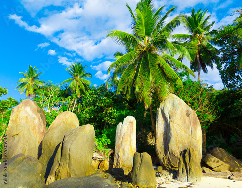 Photo: Paradise Ocean Season Paradise Ocean Season