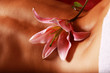 flower on a female back