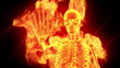 Fiery skeleton, a stop sign Fiery skeleton, a stop sign