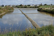 marais salants à Guérande en Loire-Atlantique marais salants à Guérande en Loire-Atlantique