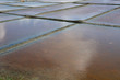marais salants à Guérande en Loire-Atlantique marais salants à Guérande en Loire-Atlantique