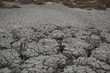 Barren land