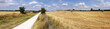 crops