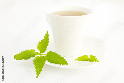 Foto: Brennnesseltee (Urtica dioica) Brennnesseltee (Urtica dioica)